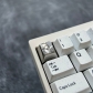 1U Titanium Alloy Artisan Keycaps Precision Pointillism for Mechanical Keyboard -Rita Rossweisse